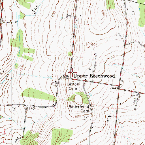 Topographic Map of Upper Beechwood, NY