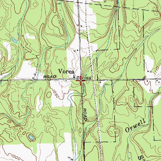 Topographic Map of Vorea, NY