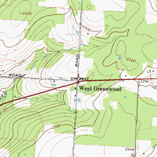 Topographic Map of West Greenwood, NY