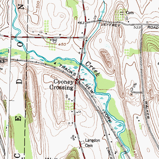 Topographic Map of Cooney Crossing, NY