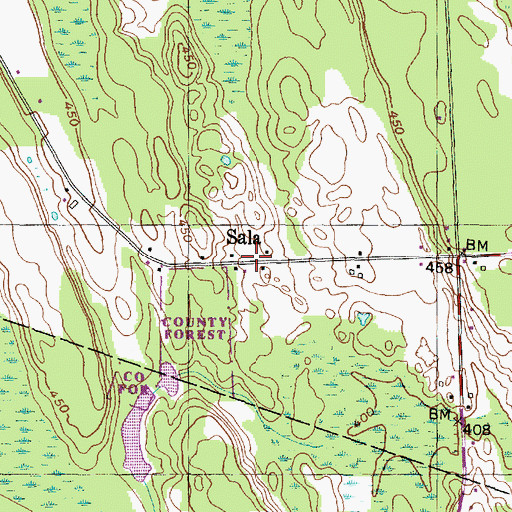 Topographic Map of Sala, NY