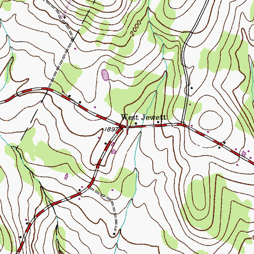 Topographic Map of West Jewett, NY