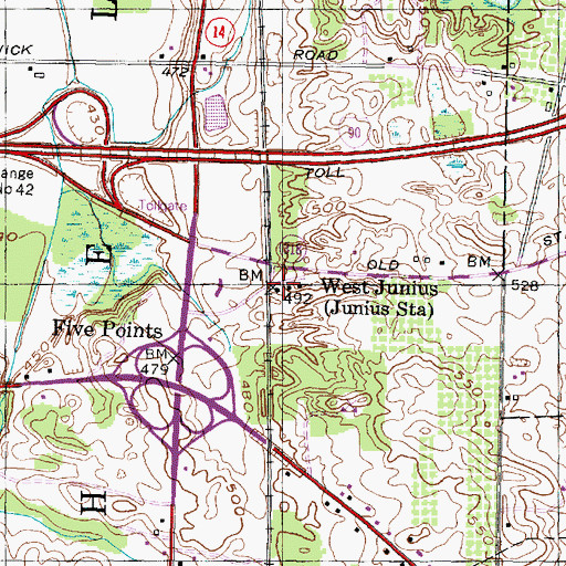Topographic Map of West Junius, NY