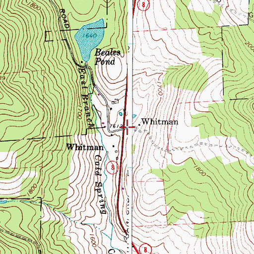 Topographic Map of Whitman, NY