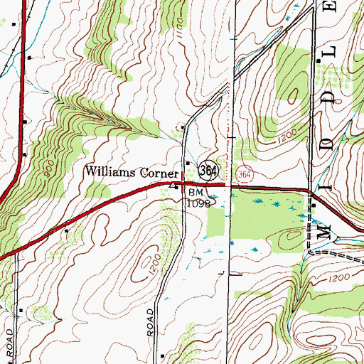Topographic Map of Williams Corner, NY
