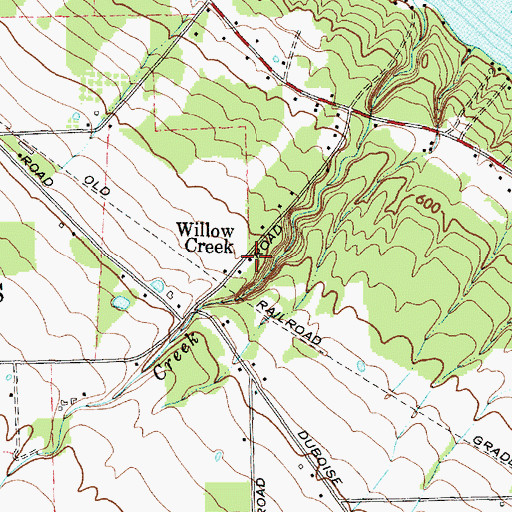 Topographic Map of Willow Creek, NY