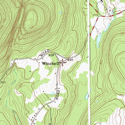 Topographic Map of Winchell, NY