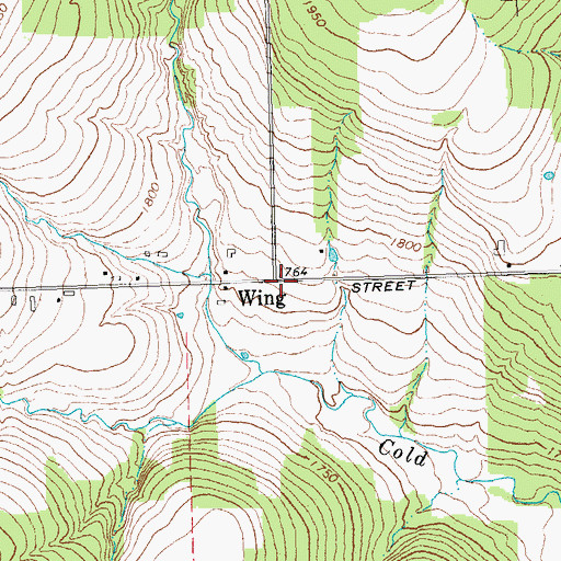 Topographic Map of Wing, NY