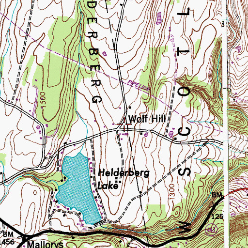 Topographic Map of Wolf Hill, NY