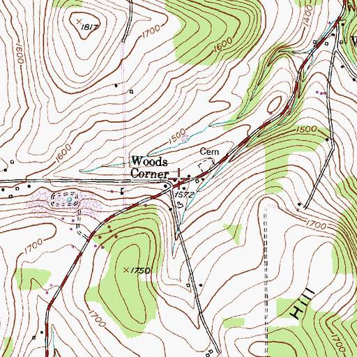 Topographic Map of Woods Corner, NY
