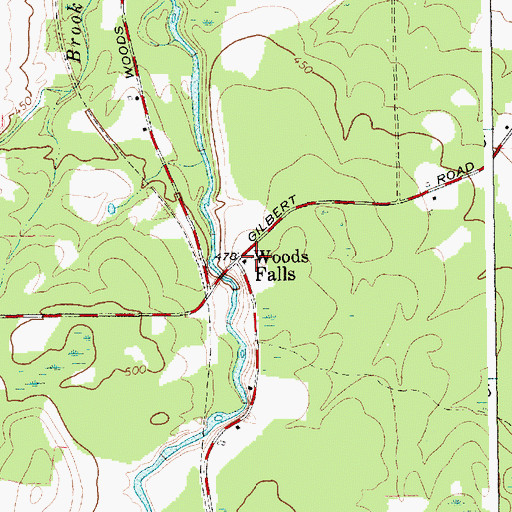 Topographic Map of Woods Falls, NY