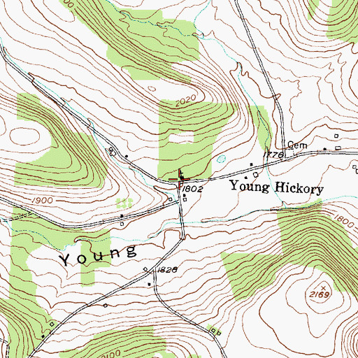 Topographic Map of Young Hickory, NY