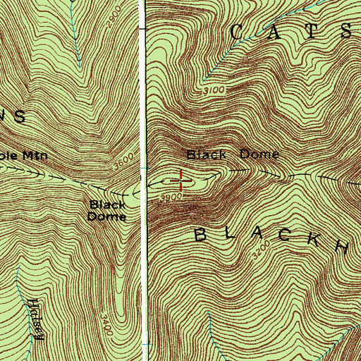 Topographic Map of Black Dome, NY