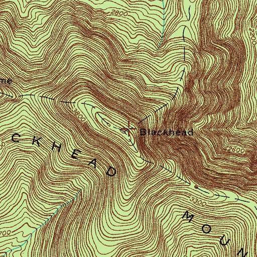 Topographic Map of Blackhead, NY