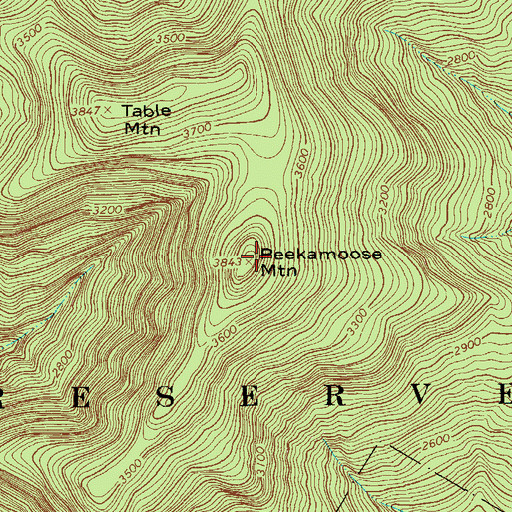Topographic Map of Peekamoose Mountain, NY