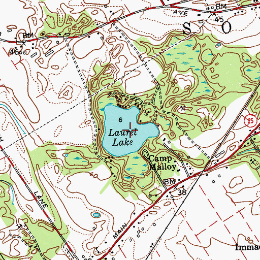 Topographic Map of Laurel Lake, NY