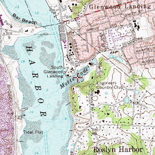Topographic Map of Mott Cove, NY