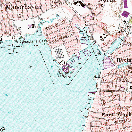 Topographic Map of Toms Point, NY