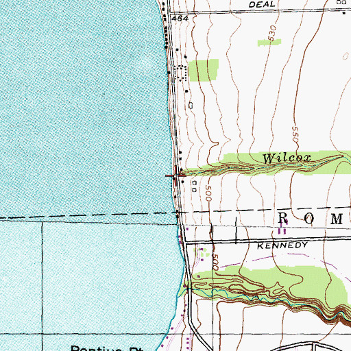 Topographic Map of Wilcox Creek, NY