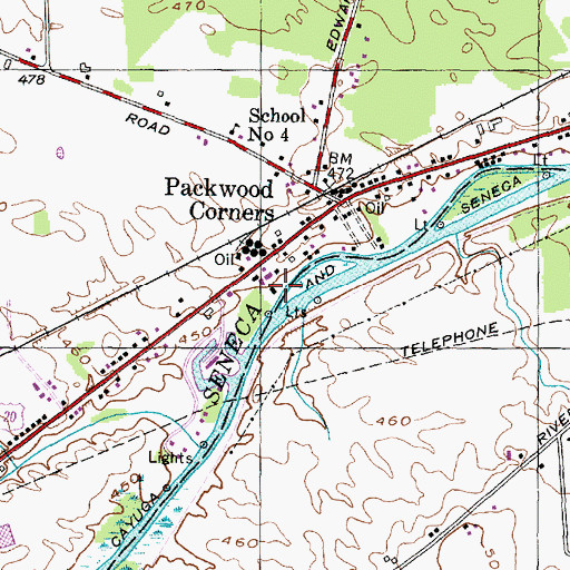 Topographic Map of Finger Lakes Marina, NY