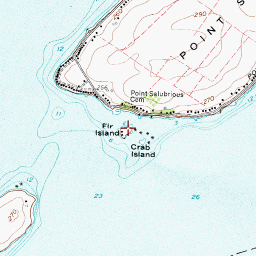 Topographic Map of Fir Island, NY