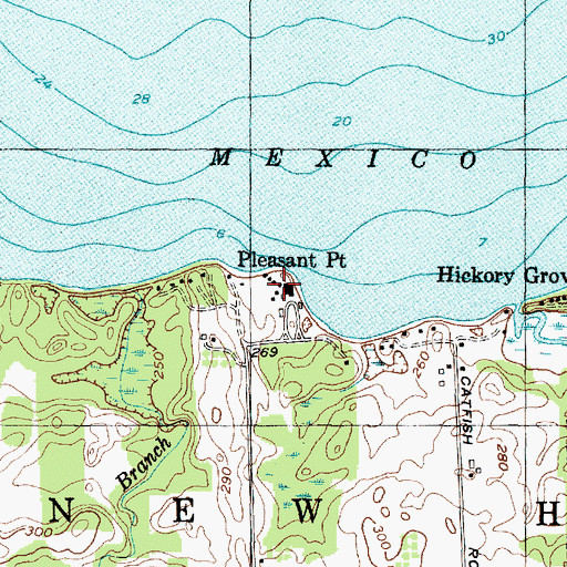 Topographic Map of Pleasant Point, NY