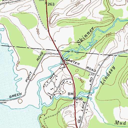 Topographic Map of Freemans Marina, NY