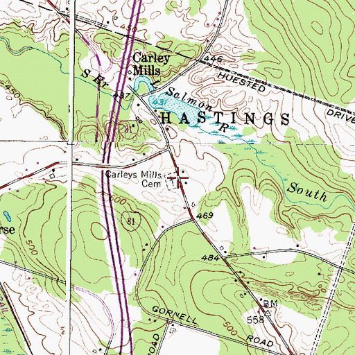 Topographic Map of Carley Mills Cemetery, NY