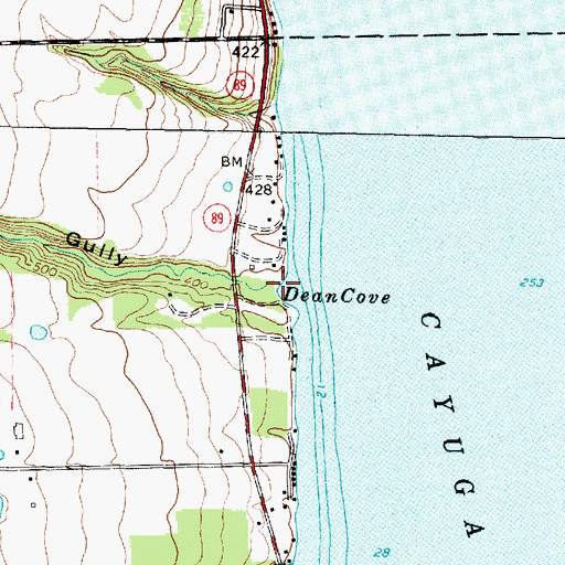 Topographic Map of Johnsons Creek, NY