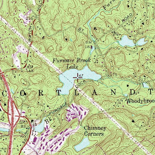 Topographic Map of Furnace Brook Lake, NY
