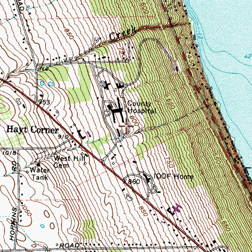 Topographic Map of Cayuga Medical Center, NY