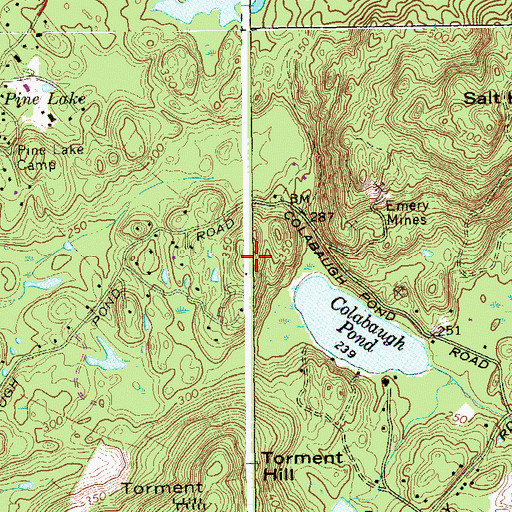 Topographic Map of Collaberg Mountain, NY