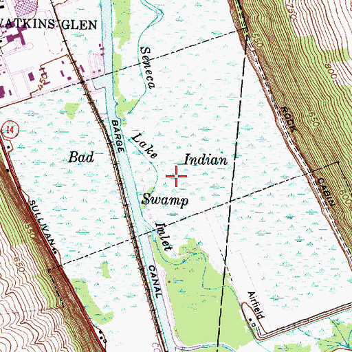Topographic Map of Bad Indian Swamp, NY