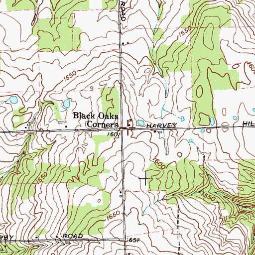 Topographic Map of Black Oaks Corners, NY