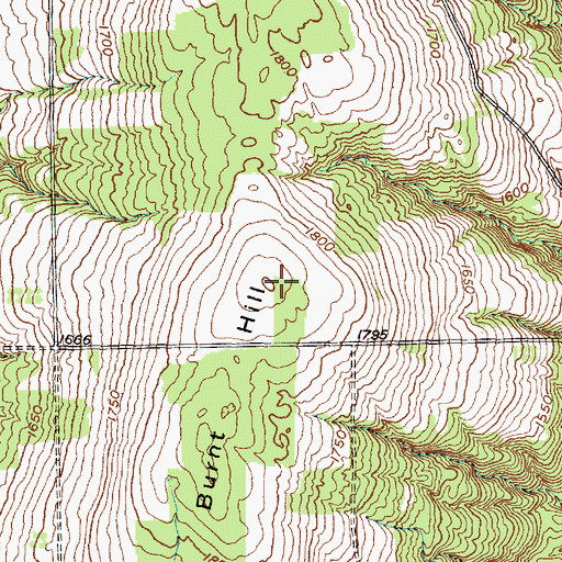 Topographic Map of Burnt Hill, NY