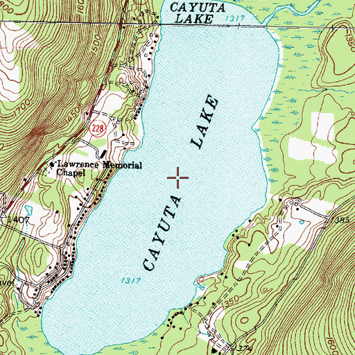 Topographic Map of Cayuta Lake, NY