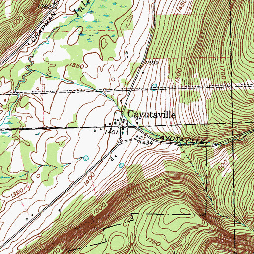 Topographic Map of Cayutaville, NY