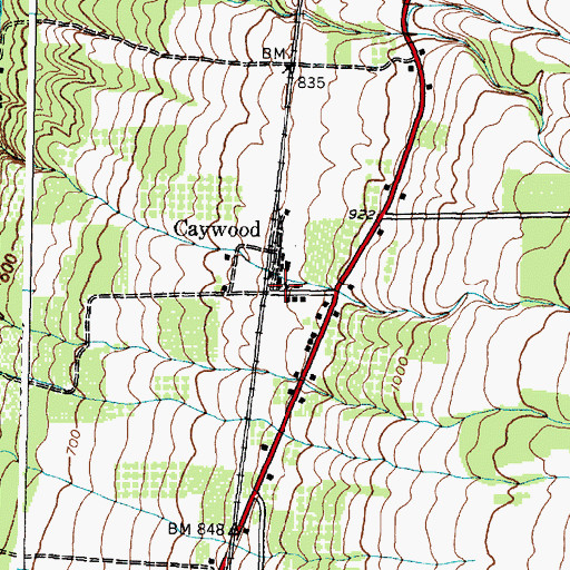 Topographic Map of Caywood, NY