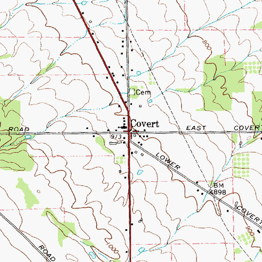 Topographic Map of Covert, NY
