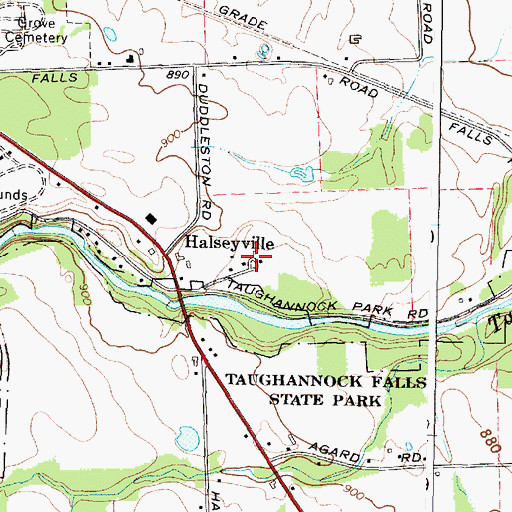 Topographic Map of Halseyville, NY