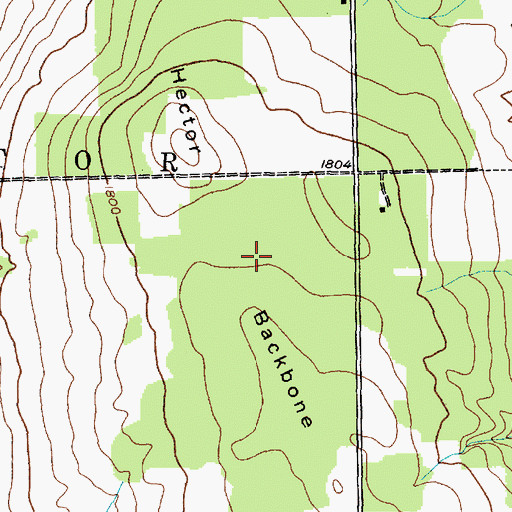 Topographic Map of Hector Backbone, NY