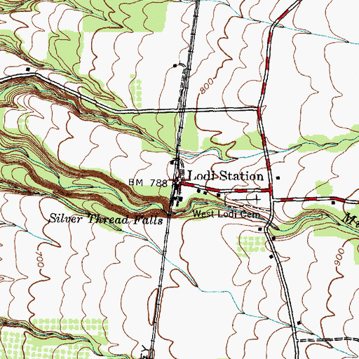 Topographic Map of Lodi Station, NY