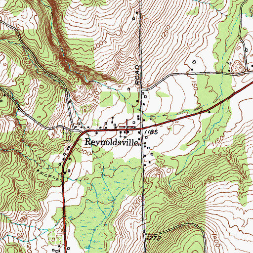 Topographic Map of Reynoldsville, NY