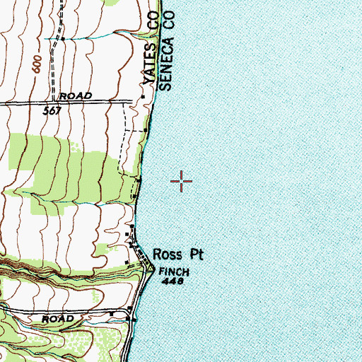 Topographic Map of Seneca Lake, NY