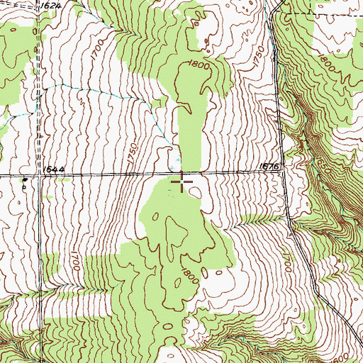 Topographic Map of Blueberry Patch Recreation Site, NY