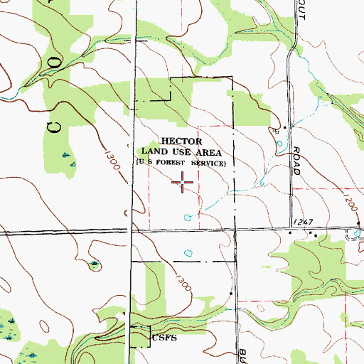 Topographic Map of Hector Land Use Area US Forest Service, NY