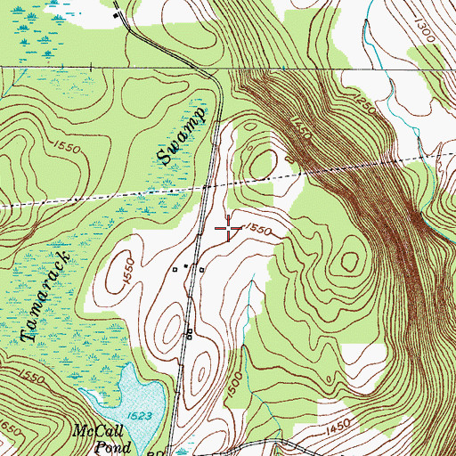 Topographic Map of Chenango County, NY