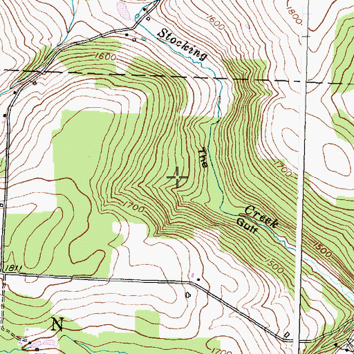 Topographic Map of Steuben County, NY