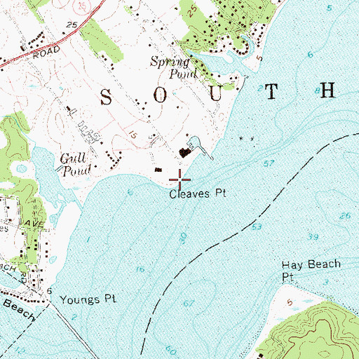 Topographic Map of Cleaves Point, NY