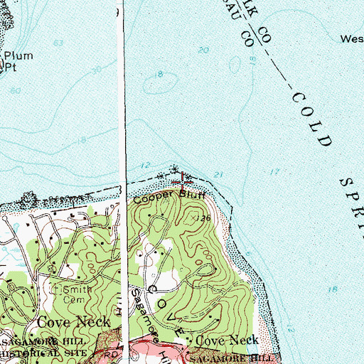 Topographic Map of Cooper Bluff, NY